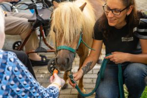 Besuch von Ponys und HUnden im Caritas Altenheim in Bernhardswald