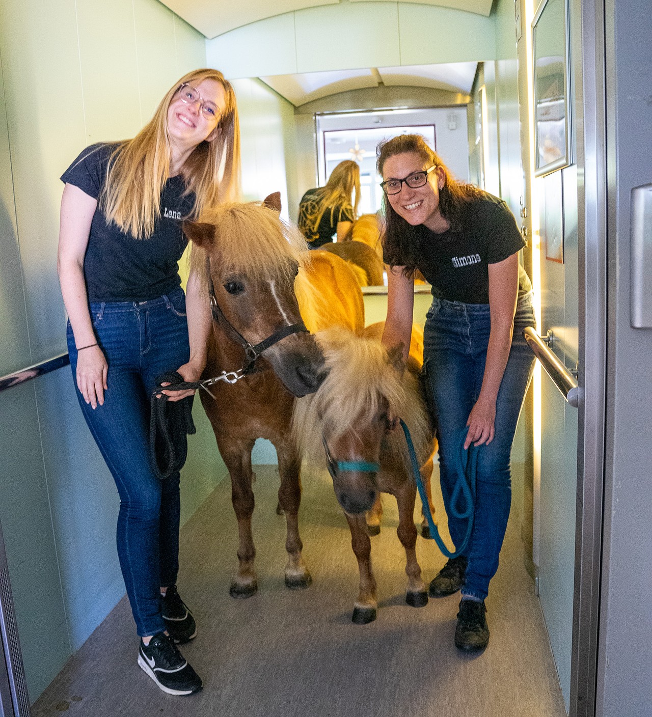 Besuch von Ponys und HUnden im Caritas Altenheim in Bernhardswald