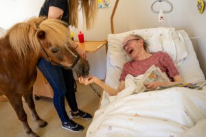 Besuch von Ponys und HUnden im Caritas Altenheim in Bernhardswald