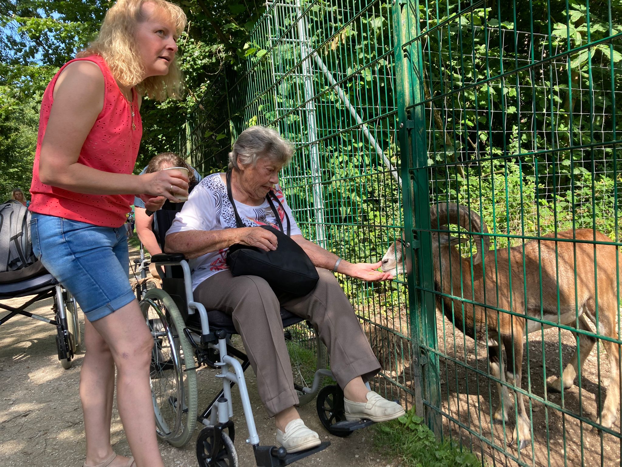 Ausflug der Bewohnerinnen und Bewohner des Caritas Altenheims Marienheim in Schwandorf in den Wildtierpark Höllohe