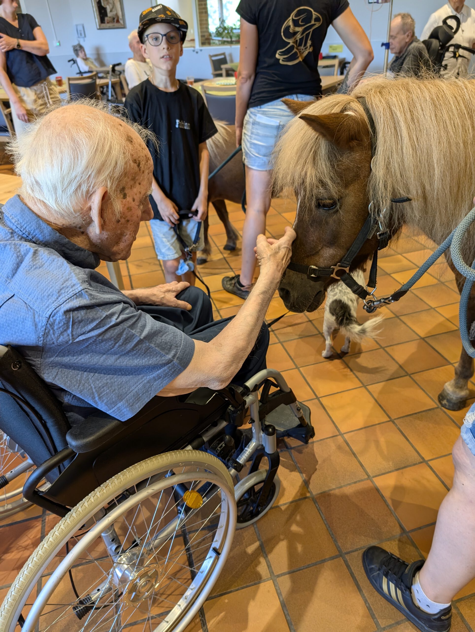 Ponybesuch im Caritas Altenheim Roding