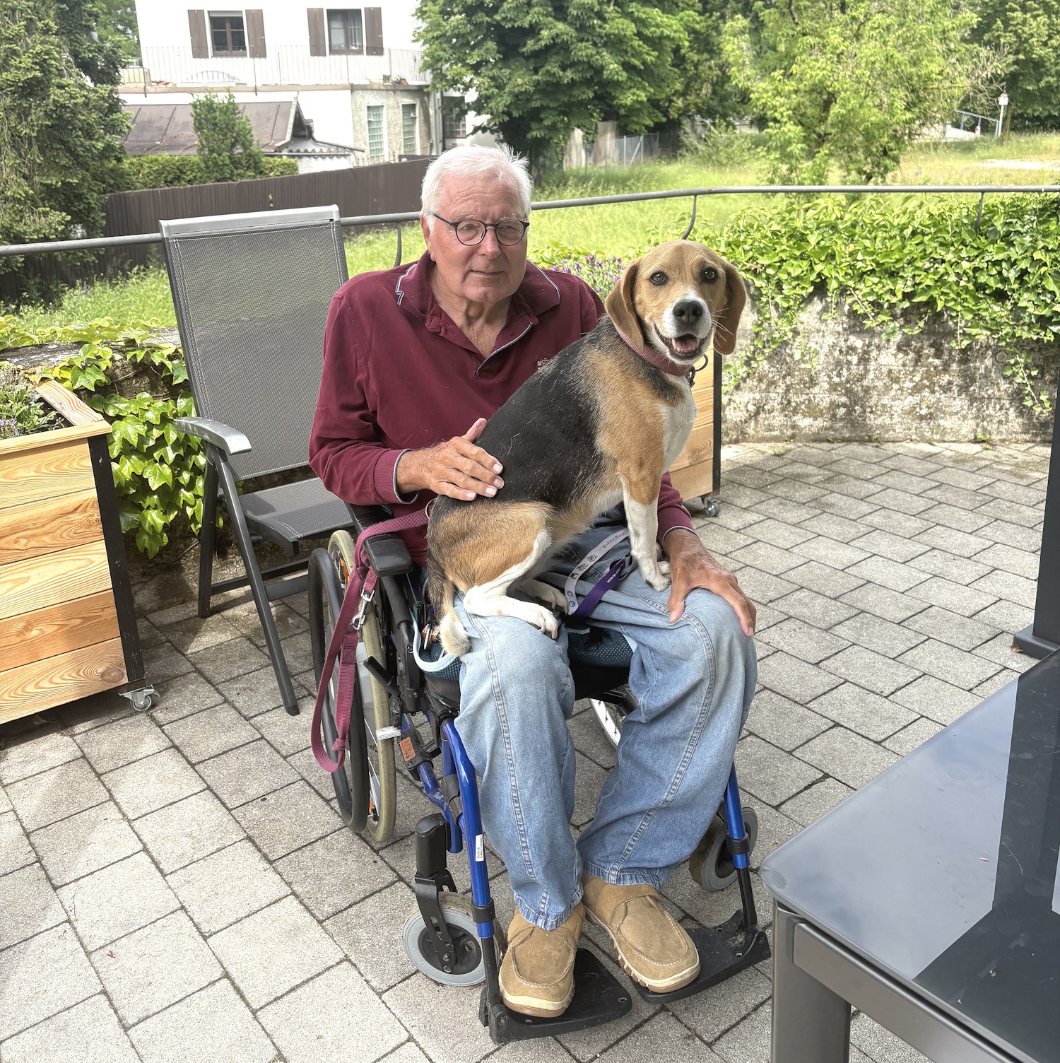 Hündin Kira auf Besuch im Caritas Altenheim Geschwister-Lechner-Haus in Vilsbiburg
