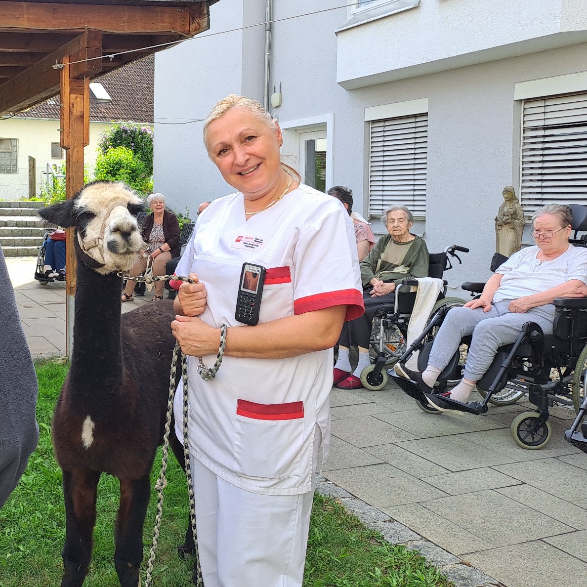 Alpakas im Caritas Altenheim St. Michael in Mainburg