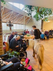 Pferd im Gang eines Altenheimes