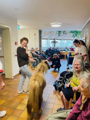 Pferd im Gang eines Altenheimes