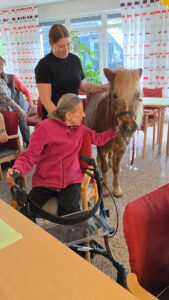 Pony mit Person