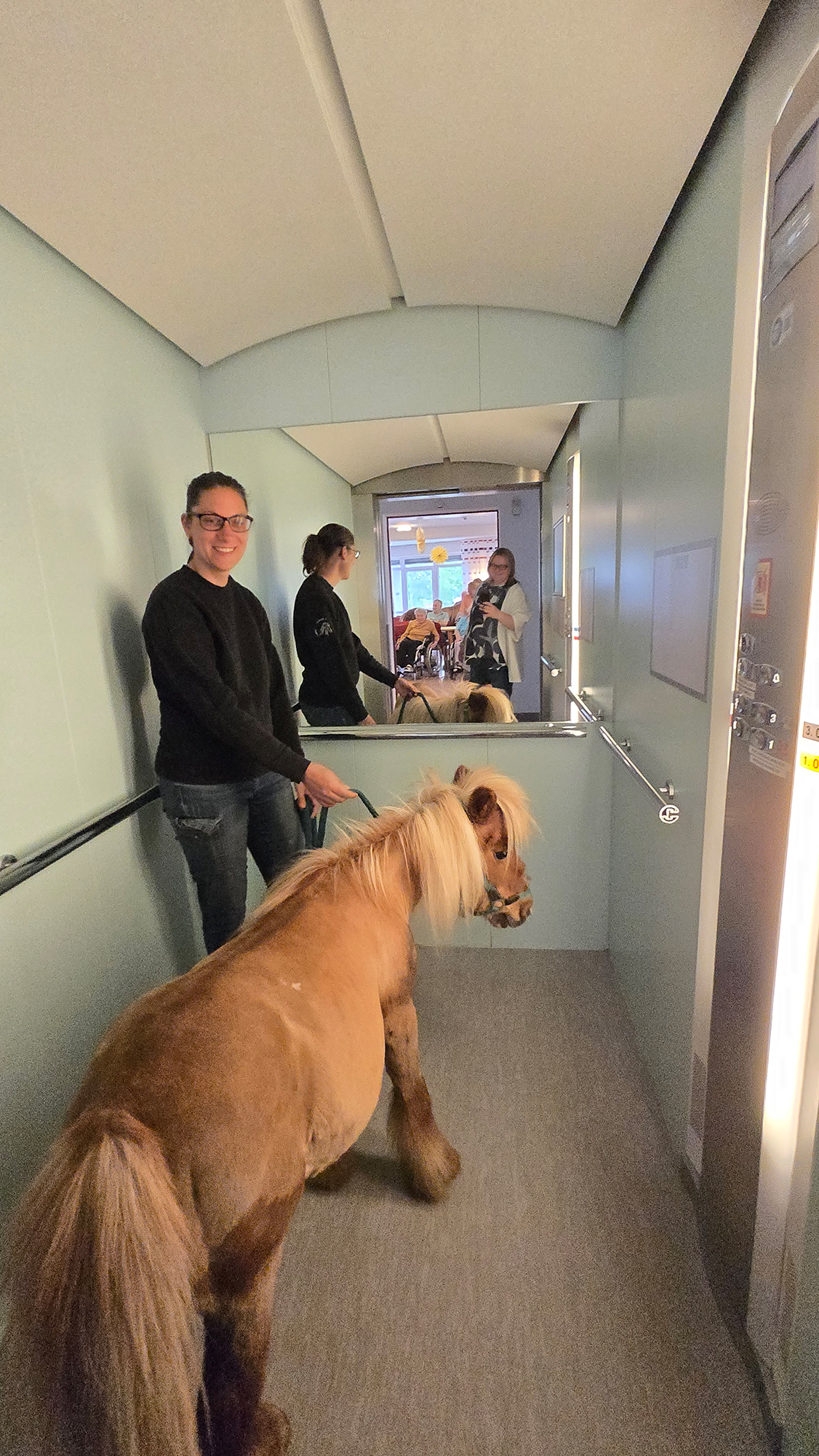 Pony mit Person