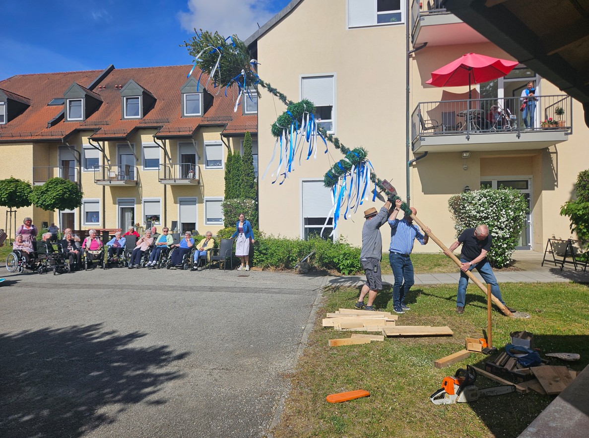 Bewohner stellen Maibaum auf