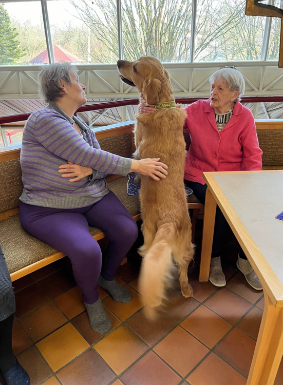 Zwei Frauen streicheln einen Hund